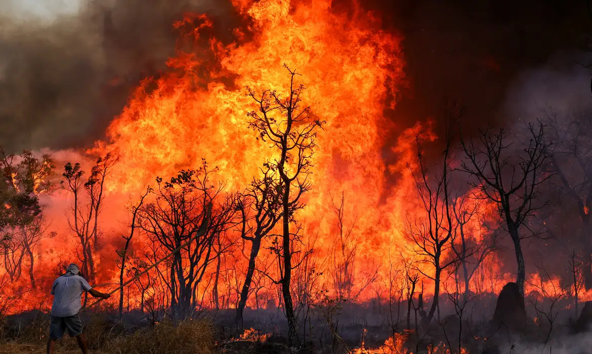 Brasil reduz queimadas e consolida queda do desmatamento sob governo Lula